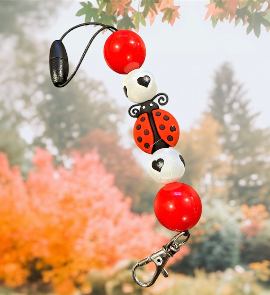 Lady bug